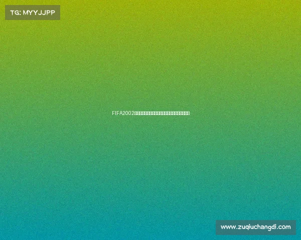 FIFA2002世界杯怎么用从入门到精通操作技巧玩法全面解析